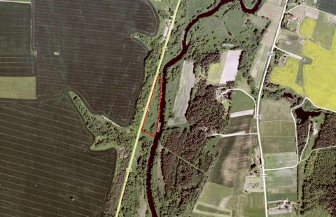 Parduodamas sklypas Panevėžio r. sav., Skaistkalnio k.
